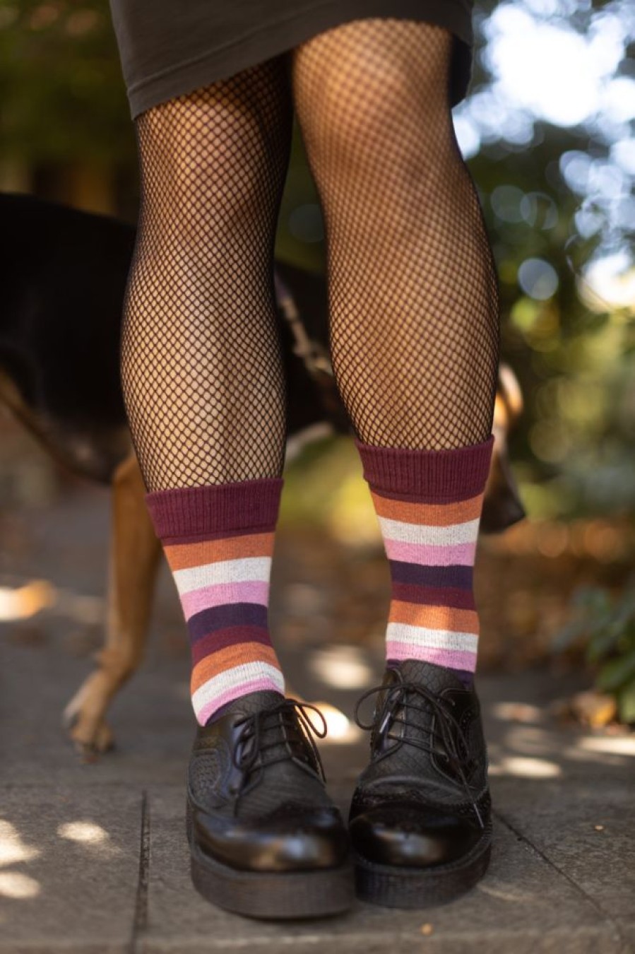 Socks Dreamer Socks Midcalves | Pride Stripes Cotton Crew Socks