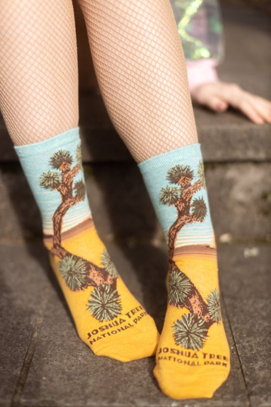 Socks Mod Sock Midcalves | Joshua Tree Crew