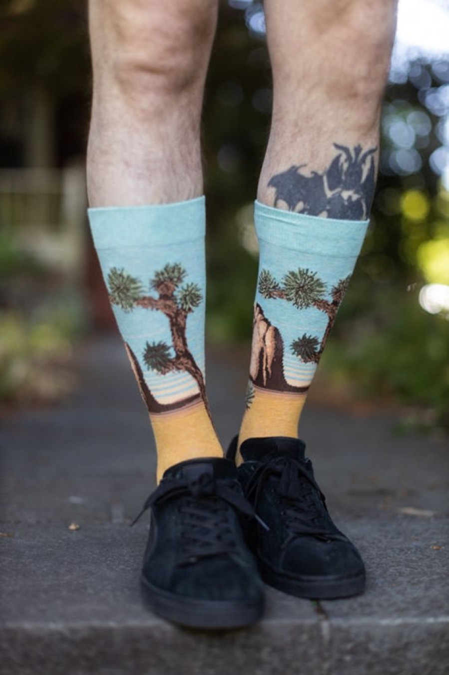 Socks Mod Sock Midcalves | Joshua Tree Crew