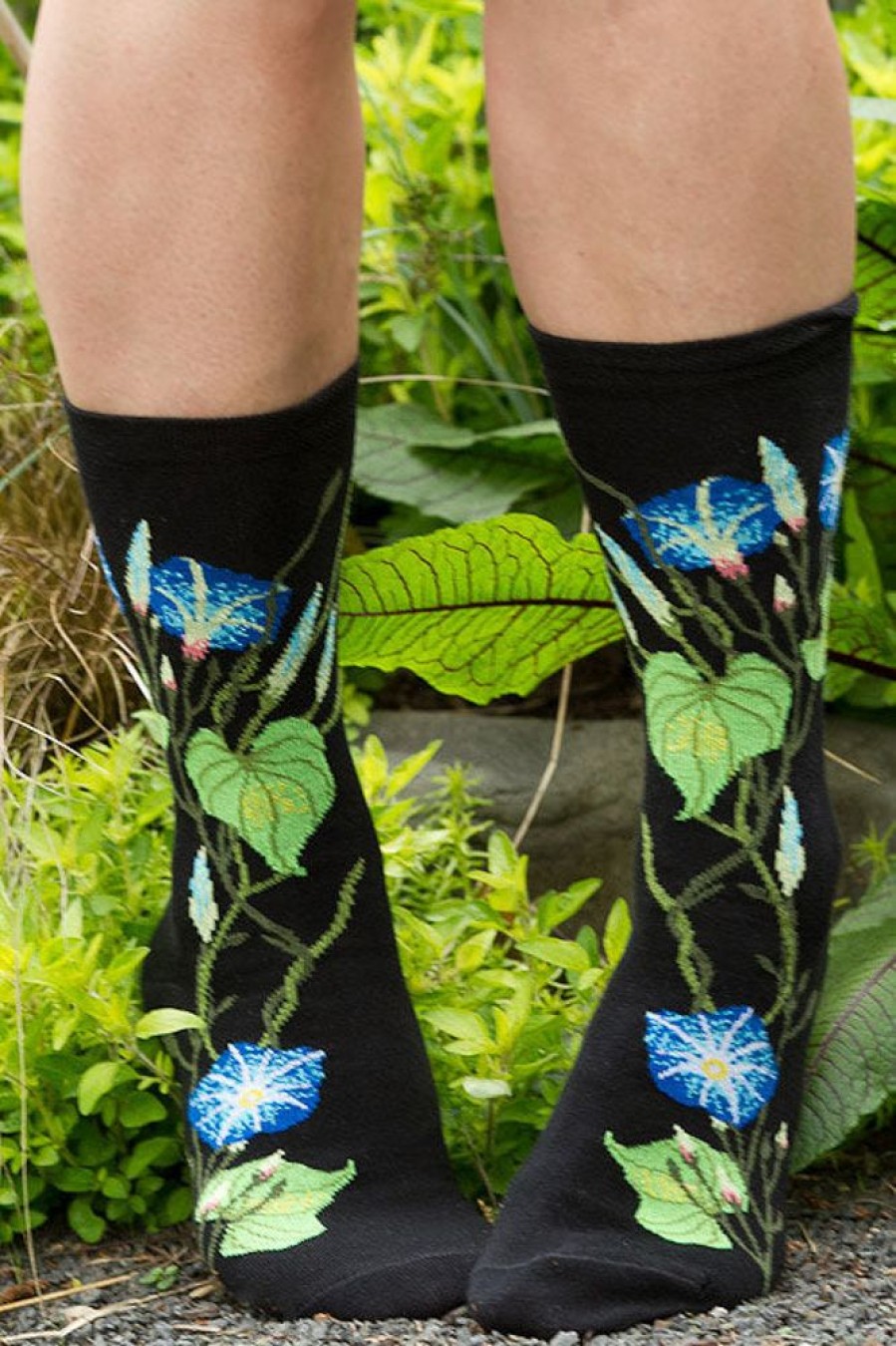 Socks Ozone Crew Socks | Morning Glory Crew