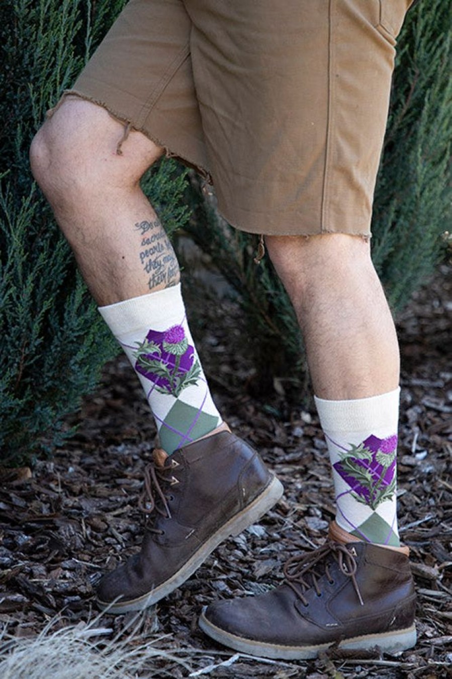 Socks Mod Sock Crew Socks | Argyle Thistle Crew