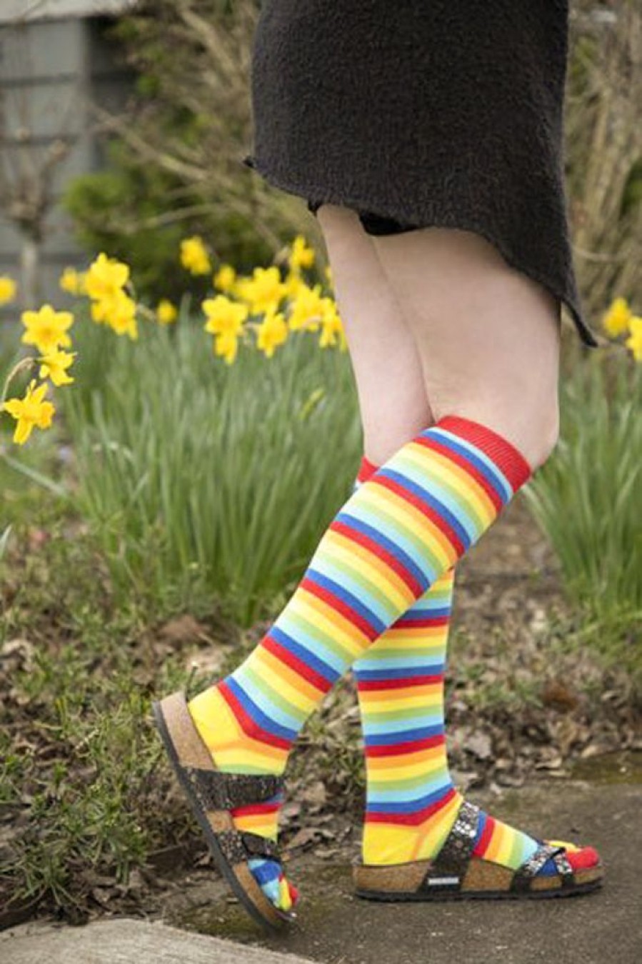 Socks ToeToe Toe Socks | Rainbow Stripe Knee High Toe Socks