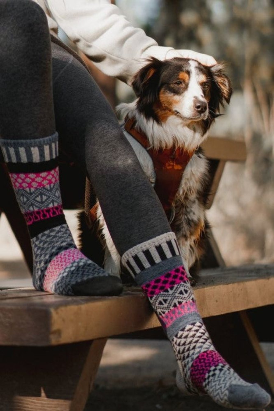 Socks Solmate Crew Socks | Dogwood Wool Crew