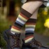 Socks Dreamer Socks Crew Socks | Bear Pride Stripes Crew Tube Socks