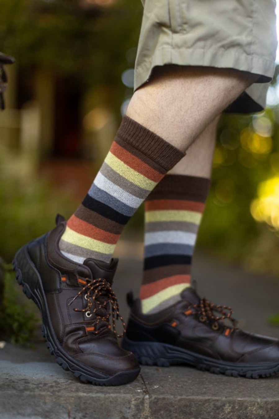 Socks Dreamer Socks Crew Socks | Bear Pride Stripes Crew Tube Socks