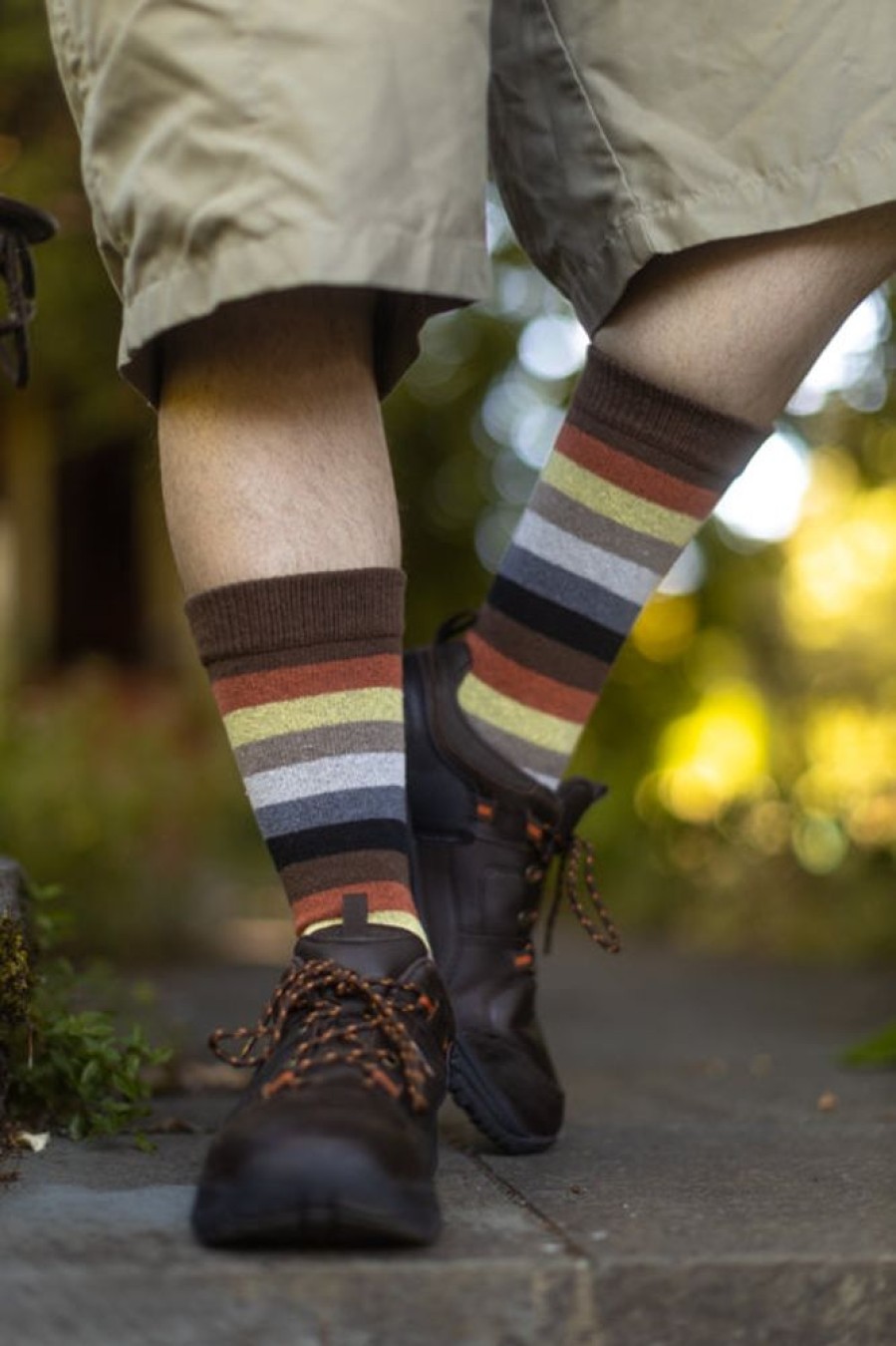 Socks Dreamer Socks Crew Socks | Bear Pride Stripes Crew Tube Socks