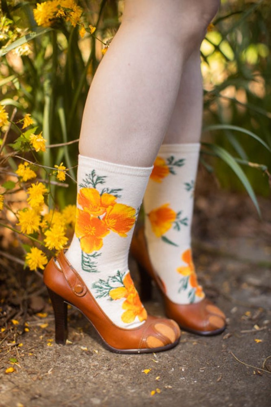 Socks Mod Sock Crew Socks | California Poppy Crew