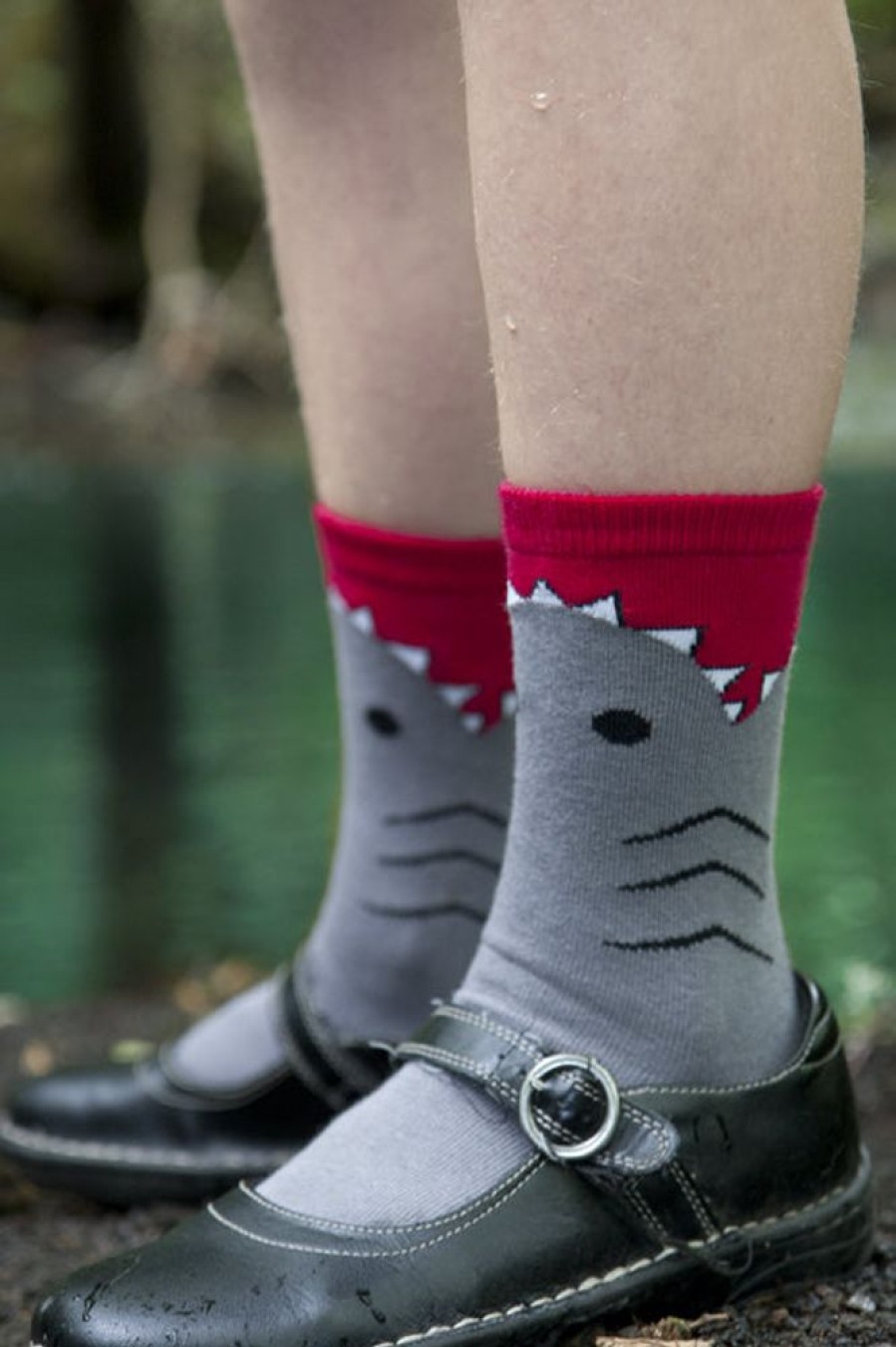 Socks K Bell Kids Socks | Shark Kids' Midcalf