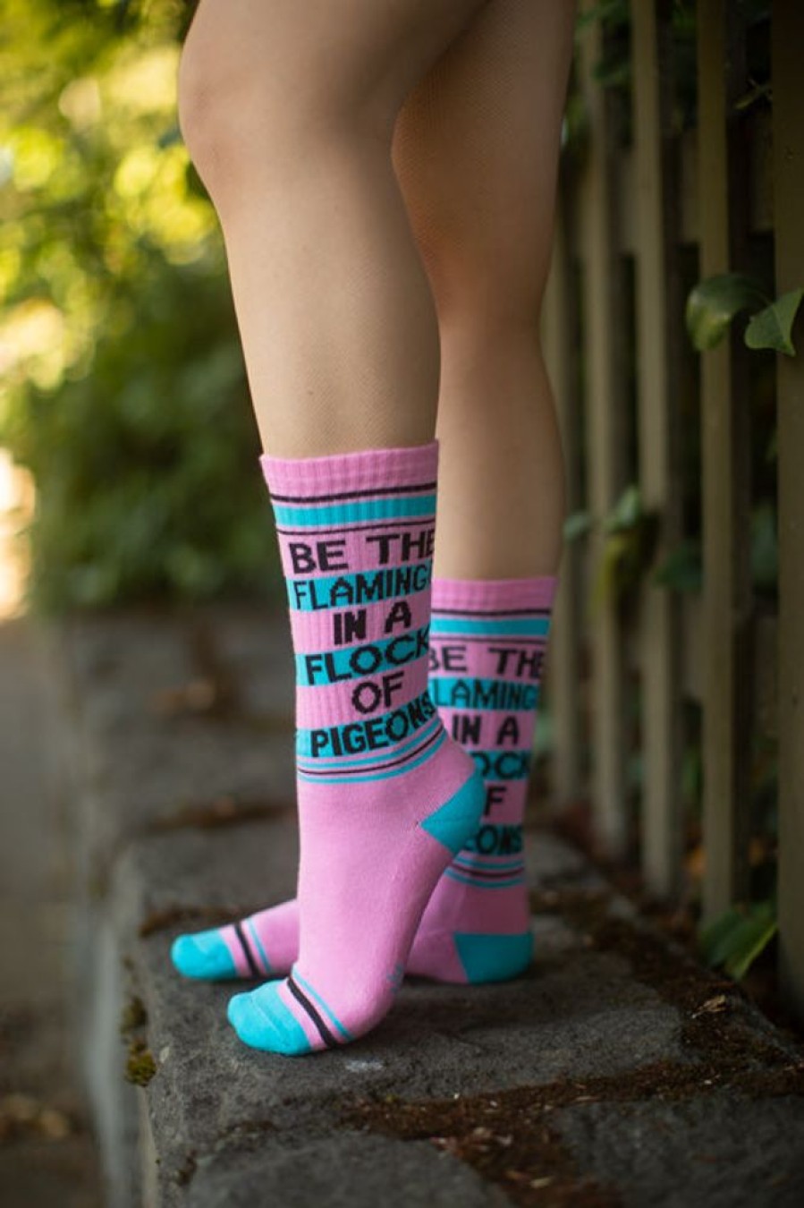 Socks Gumball Poodle Crew Socks | Be The Flamingo In The Flock Of Pigeons Crew