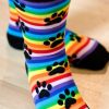 Socks K Bell Crew Socks | Rainbow Stripe Paw Print Crew