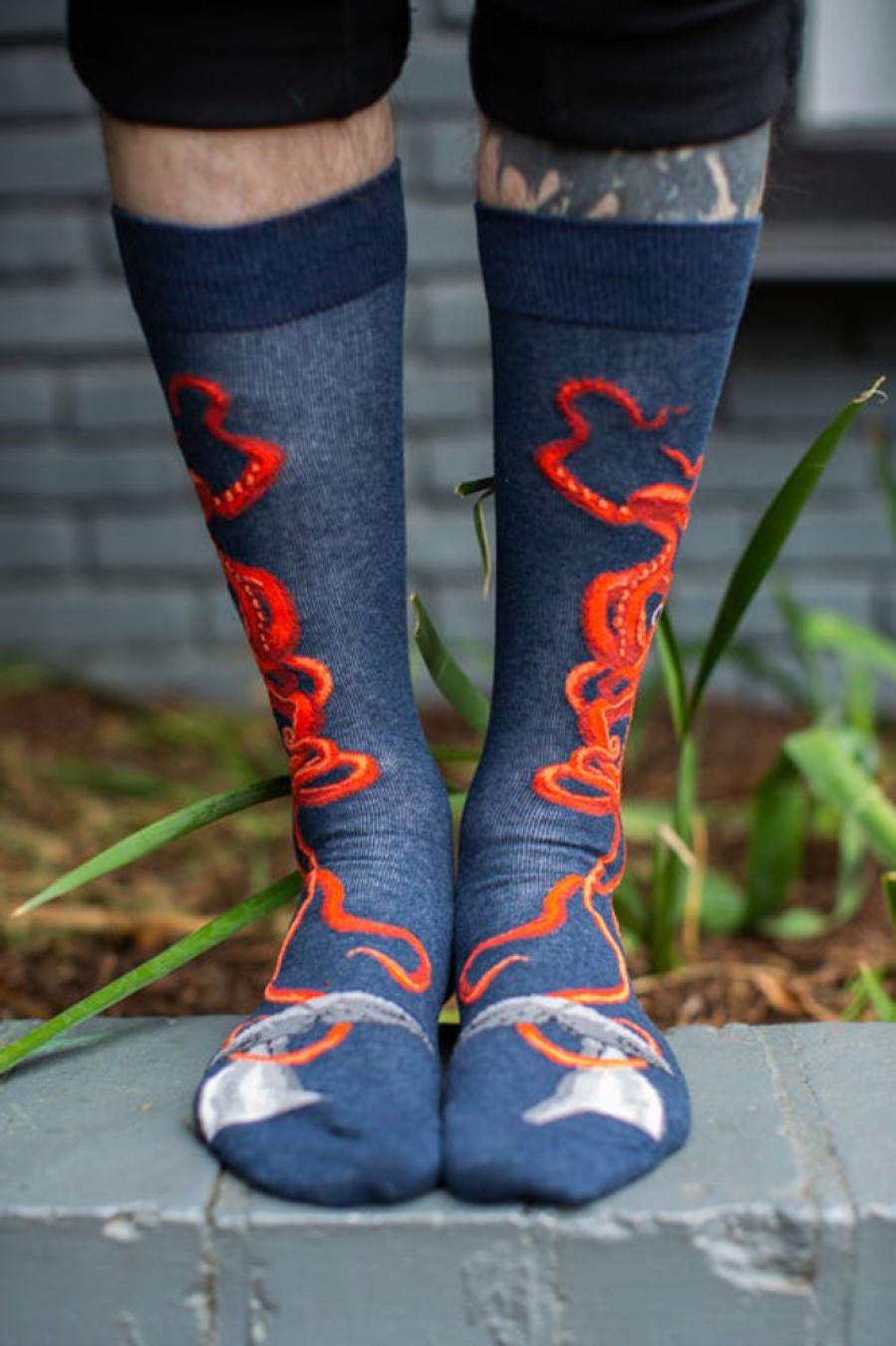 Socks Mod Sock Crew Socks | Giant Squid Crew