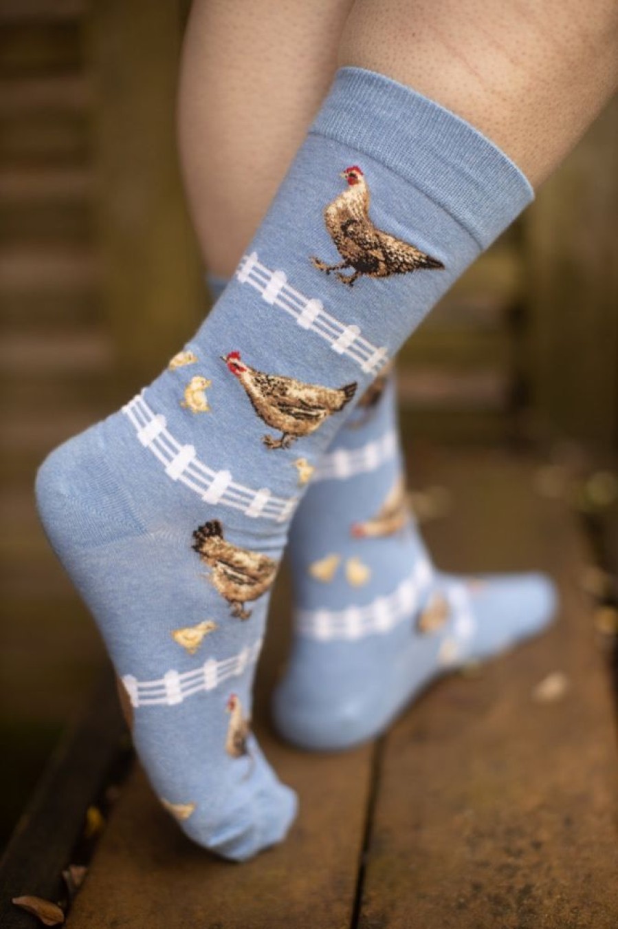 Socks Mod Sock Midcalves | Chickens Crew