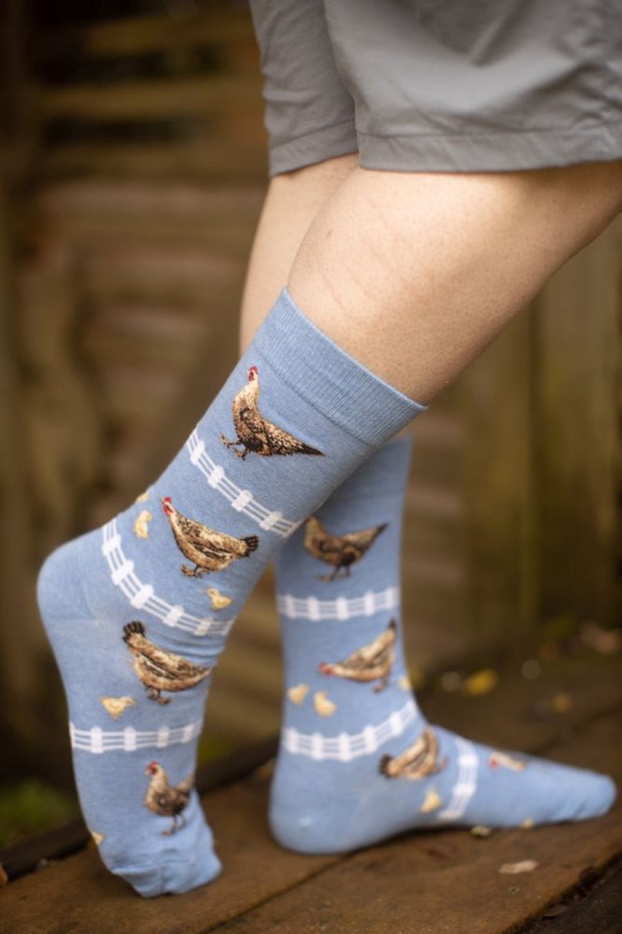 Socks Mod Sock Midcalves | Chickens Crew