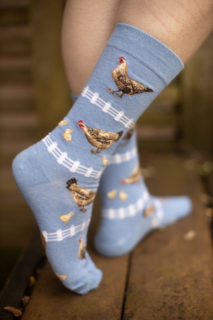 Socks Mod Sock Crew Socks | Chickens Crew