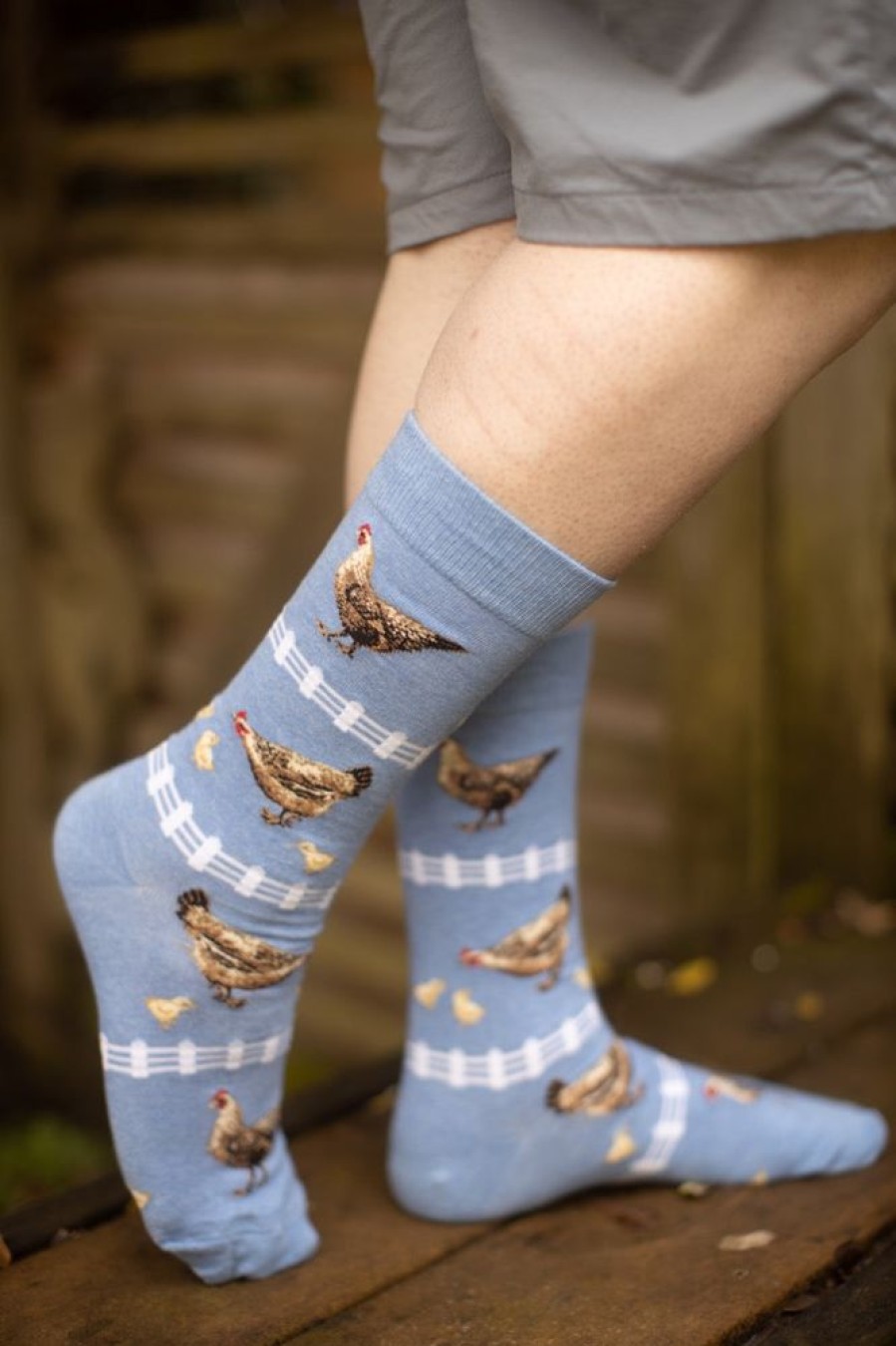 Socks Mod Sock Crew Socks | Chickens Crew